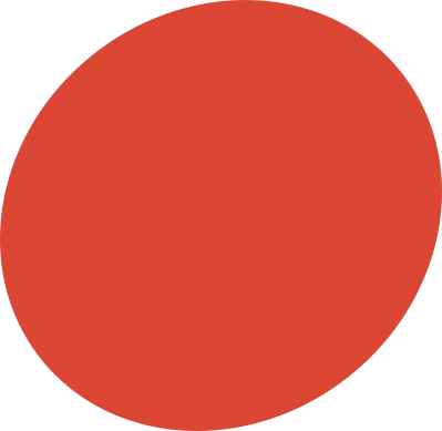 bg_seo2
